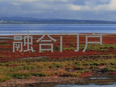融合门户