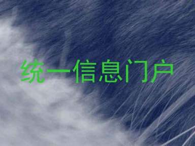 统一信息门户