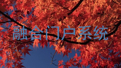 融合门户系统