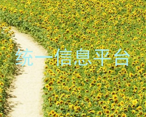 统一信息平台