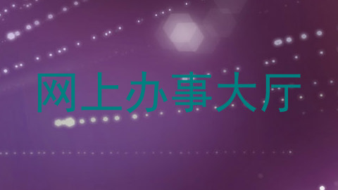 网上办事大厅
