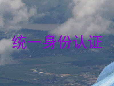 统一身份认证