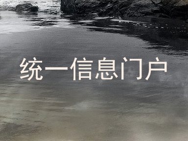 统一信息门户