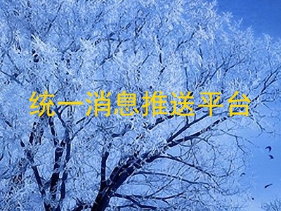 统一消息推送平台