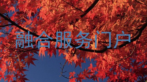 融合服务门户