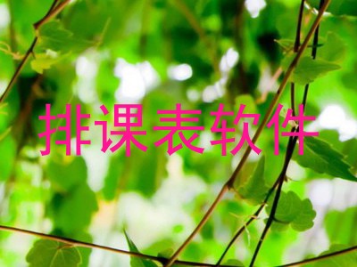 排课表软件