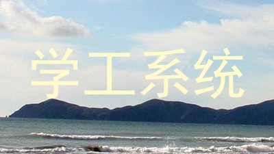 学工系统