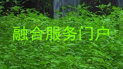 融合服务门户