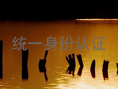 统一身份认证