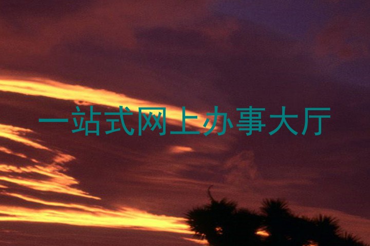 一站式网上办事大厅