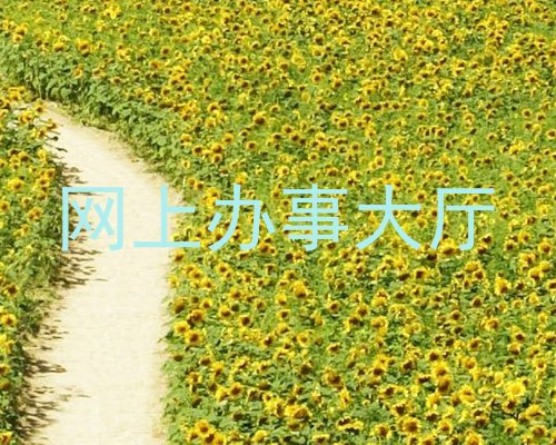 网上办事大厅