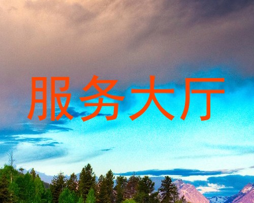 服务大厅