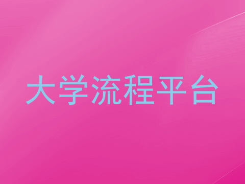大学流程平台