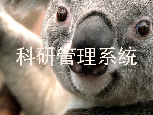 科研管理系统