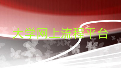 大学网上流程平台