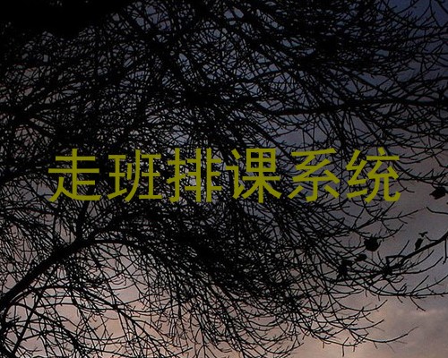 走班排课系统