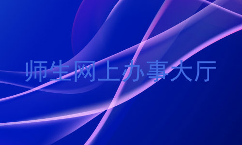 师生网上办事大厅
