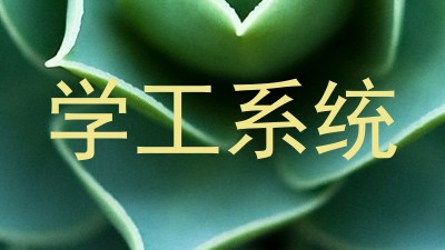 学工系统