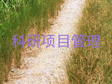 科研项目管理