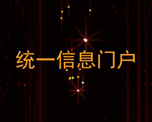 统一信息门户