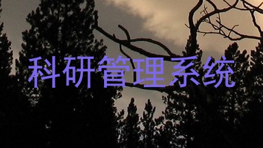 科研管理系统