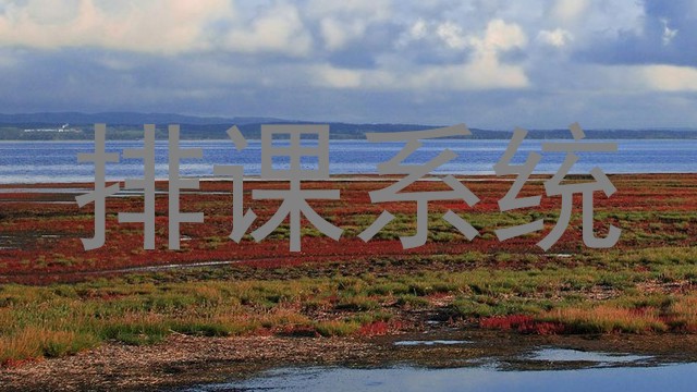 排课系统