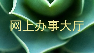 网上办事大厅