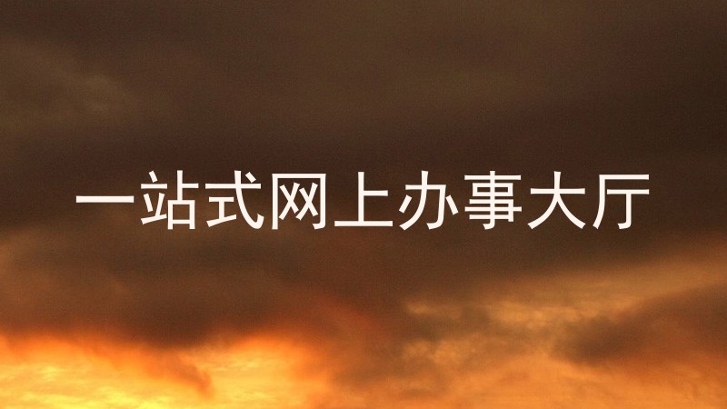 一站式网上办事大厅