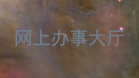 网上办事大厅