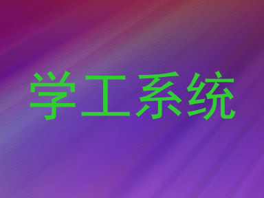 学工系统