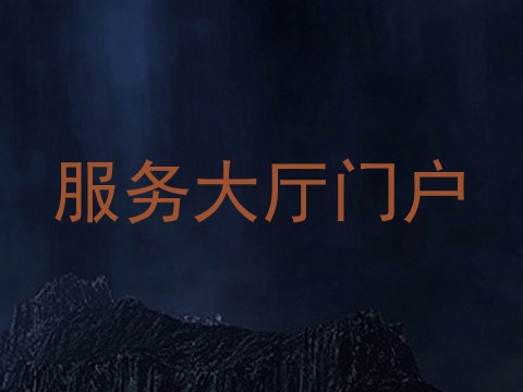 服务大厅门户