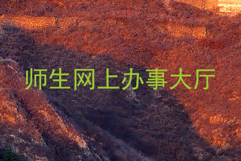 师生网上办事大厅
