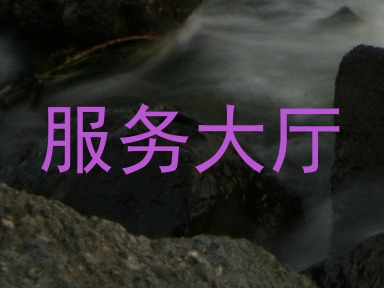服务大厅