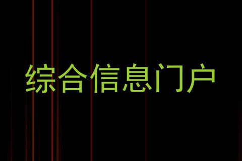 综合信息门户