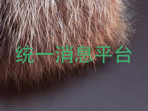 统一消息平台