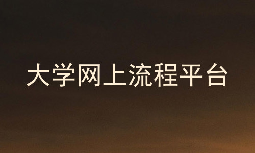 大学网上流程平台