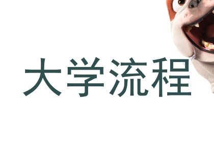 大学流程