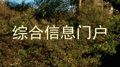 综合信息门户