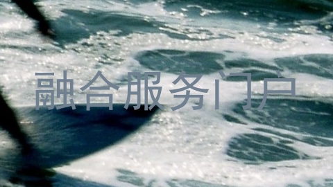 融合服务门户