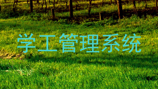 学工管理系统