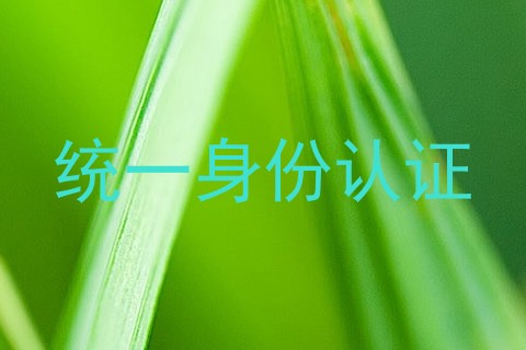 统一身份认证
