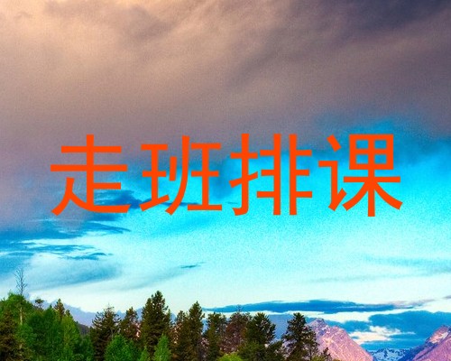 走班排课