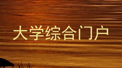 大学综合门户
