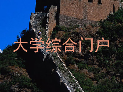 大学综合门户