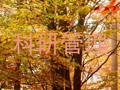 科研管理