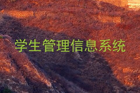 学生管理信息系统