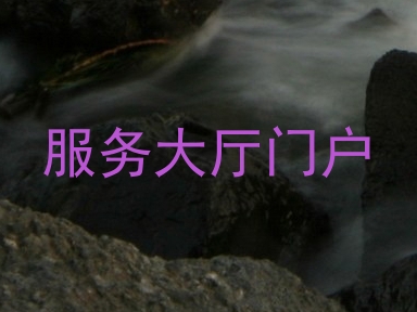 服务大厅门户