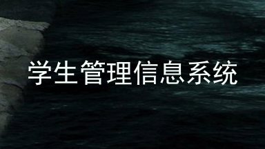 学生管理信息系统