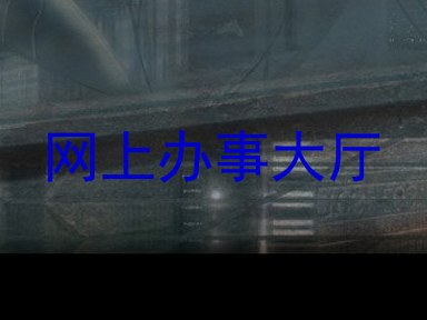 网上办事大厅