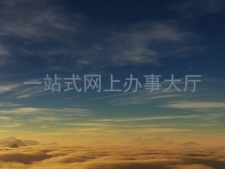 一站式网上办事大厅